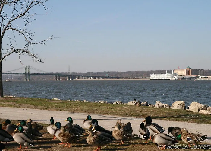 Hotel Hampton & Moline-quad Int'l Aprt 3*